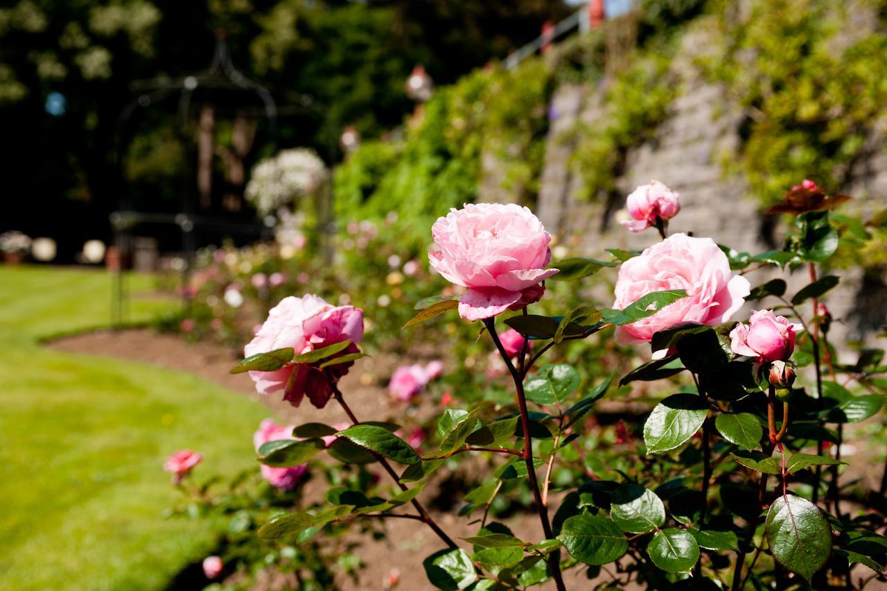 Miskin Manor Hotel 한솔 외부 사진
